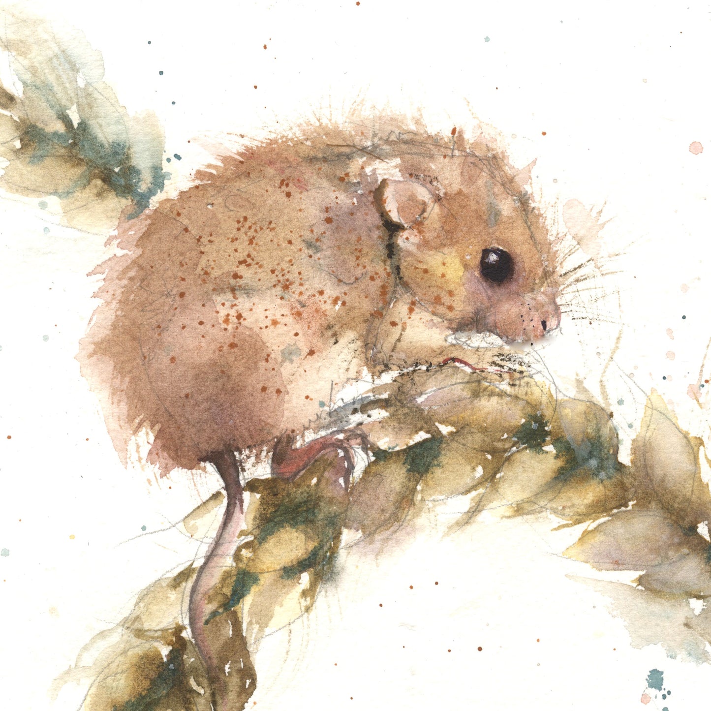 "Albert" Harvest mouse on a ear of corn limited edition art print