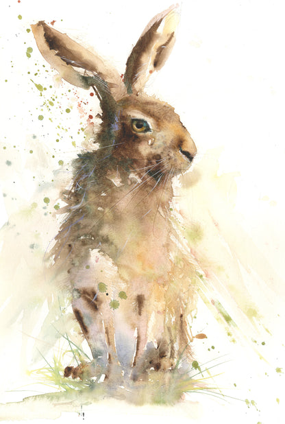 Original hare watercolour painting "Archie"