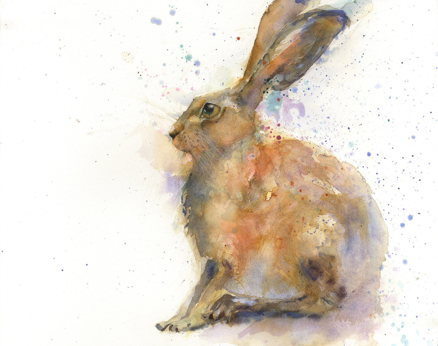 Original hare watercolour painting "Arlo"
