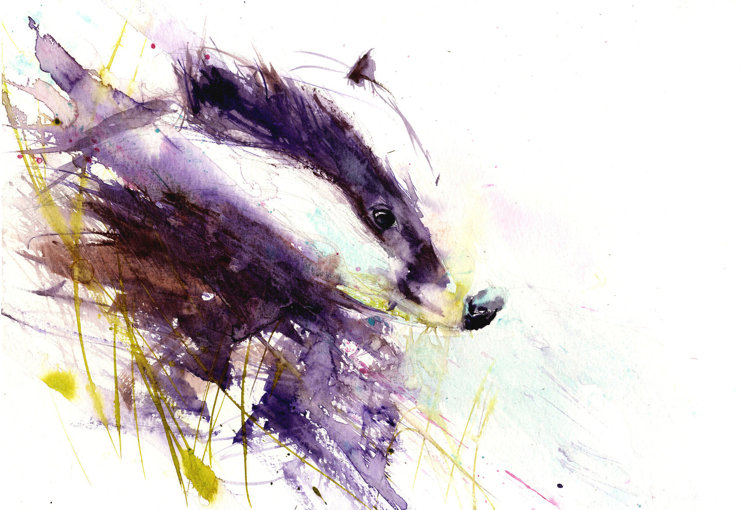 signed limited edition print - Badger - Jen Buckley Art limited edition animal art prints