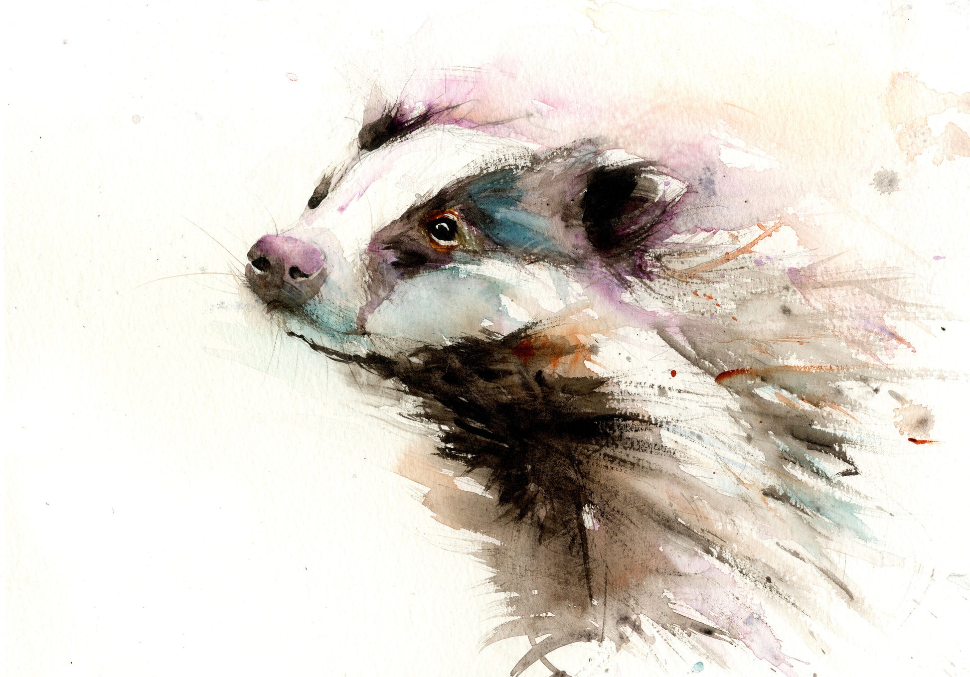 signed limited edition print - Badger - Jen Buckley Art limited edition animal art prints