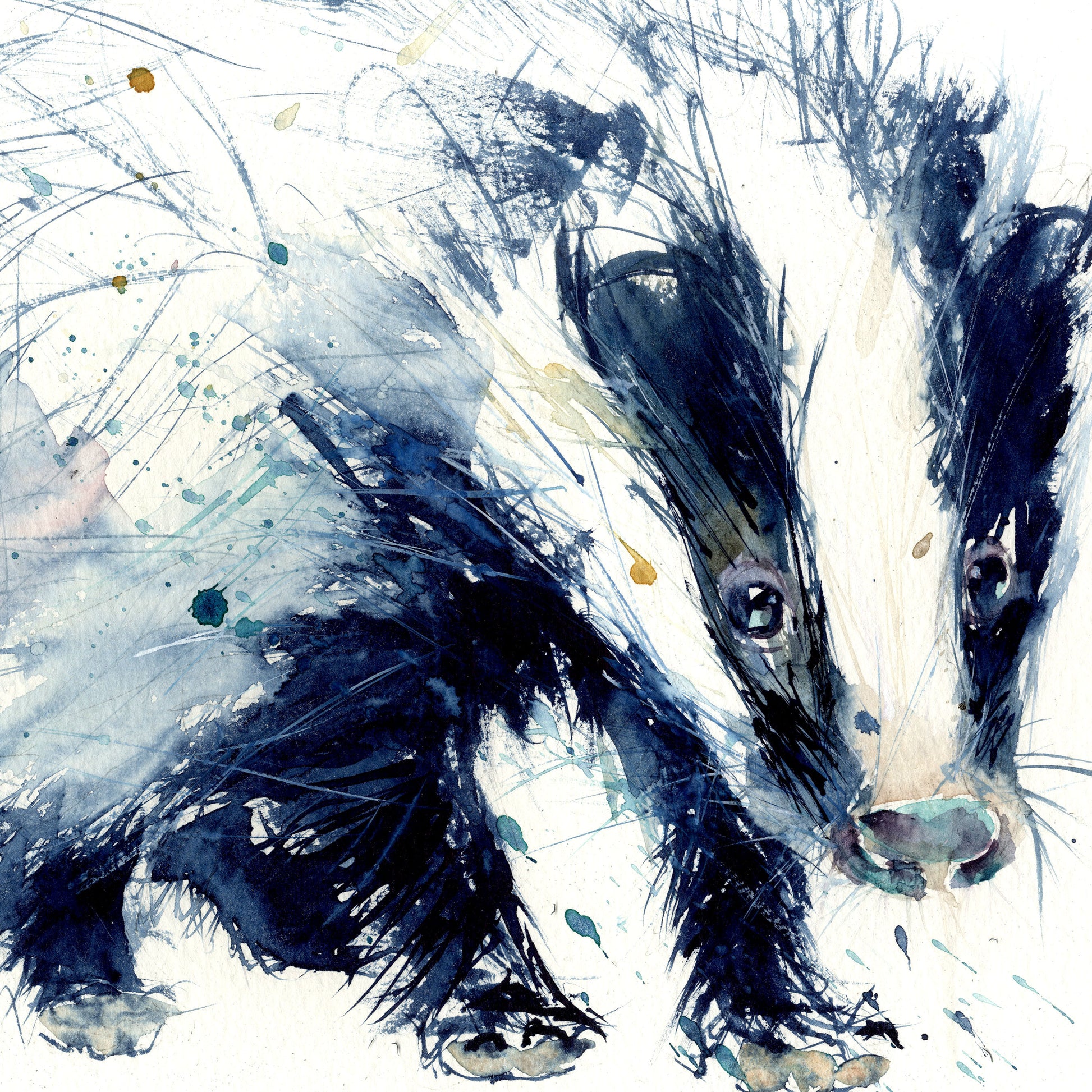 signed and numbered limited edition print from original watercolour - Badger - Jen Buckley Art limited edition animal art prints