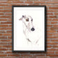 Barry the whippet - Jen Buckley Art limited edition animal art prints