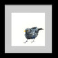 Blackbird limited edition print - Jen Buckley Art limited edition animal art prints