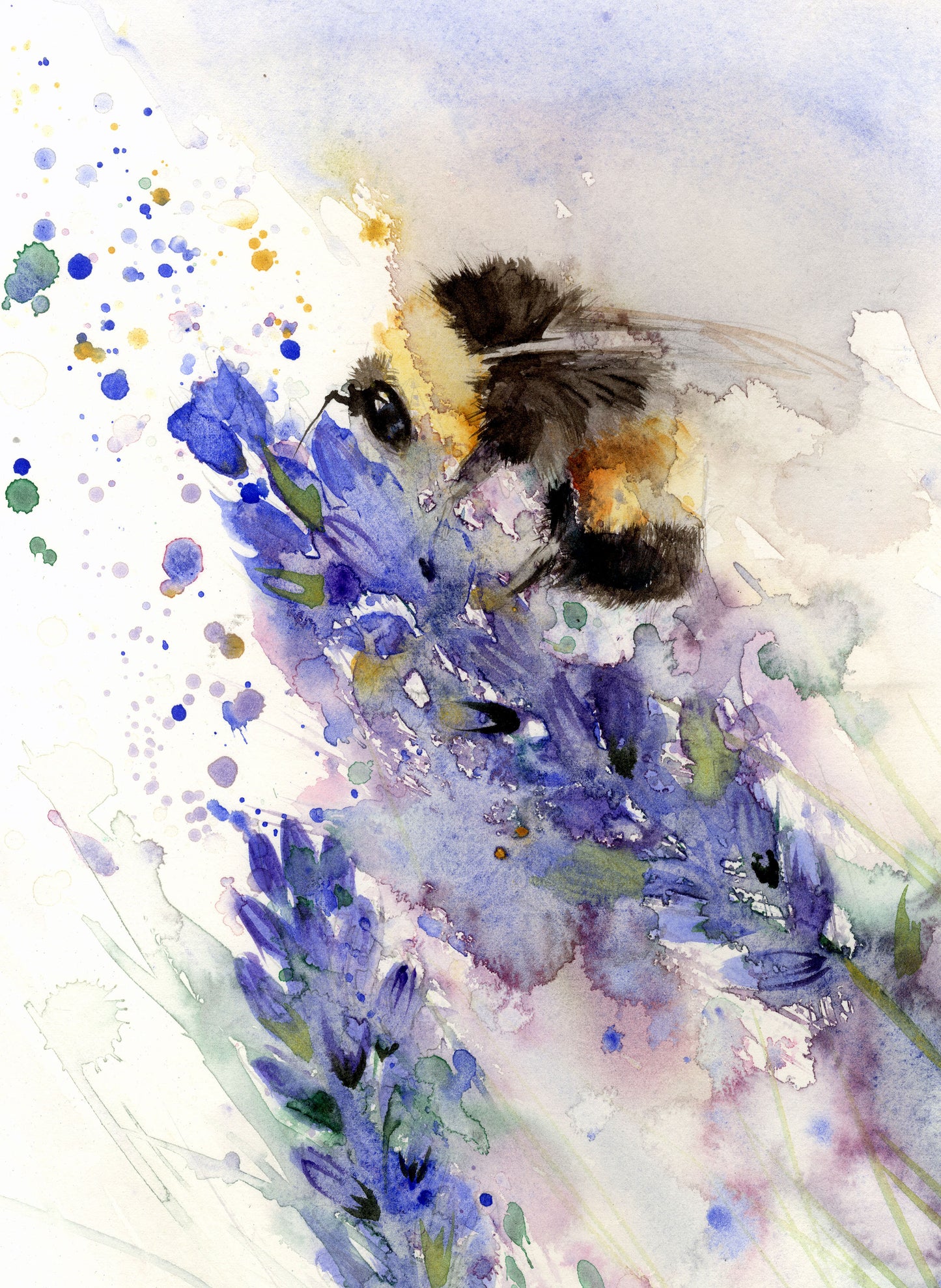 LIMITED EDITON PRINT of a BUMBLE BEE on a lavender flower - Jen Buckley Art limited edition animal art prints