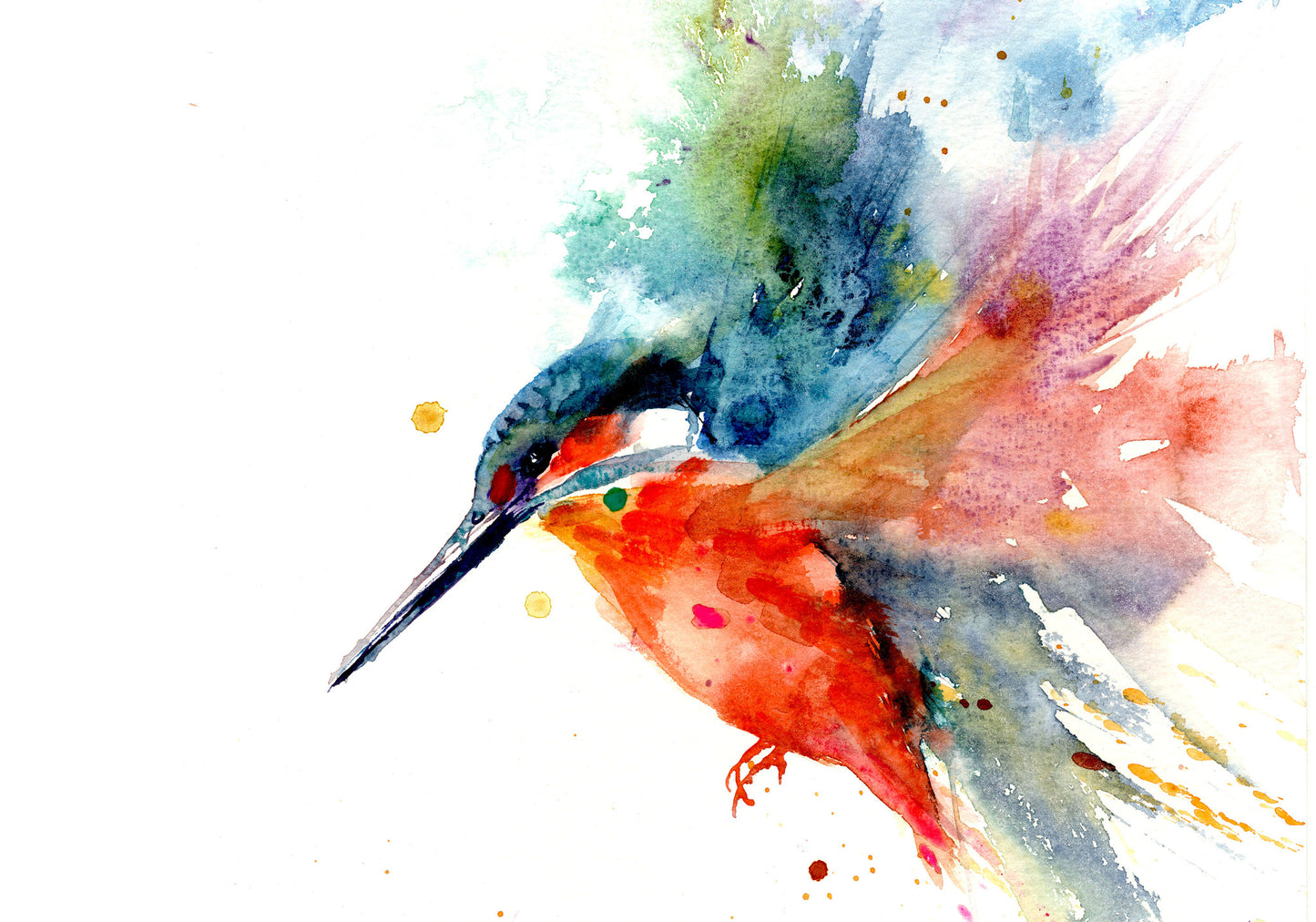 Kingfisher print by Jen Buckley