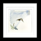 Limited edition print 'Guillemot' - Jen Buckley Art limited edition animal art prints