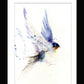 swallow bird print by jen buckley