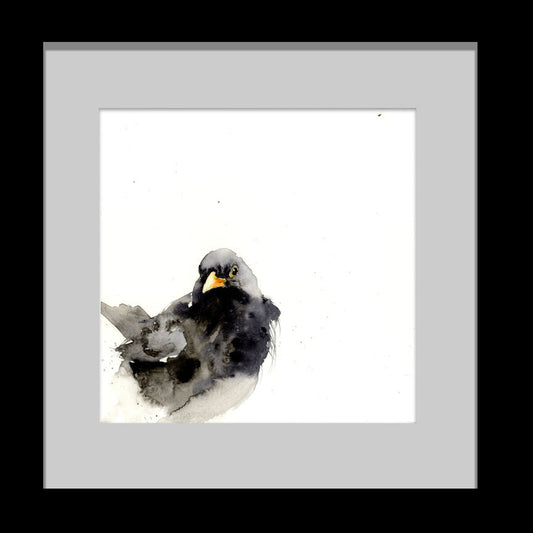 Blackbird limited edition print - Jen Buckley Art limited edition animal art prints