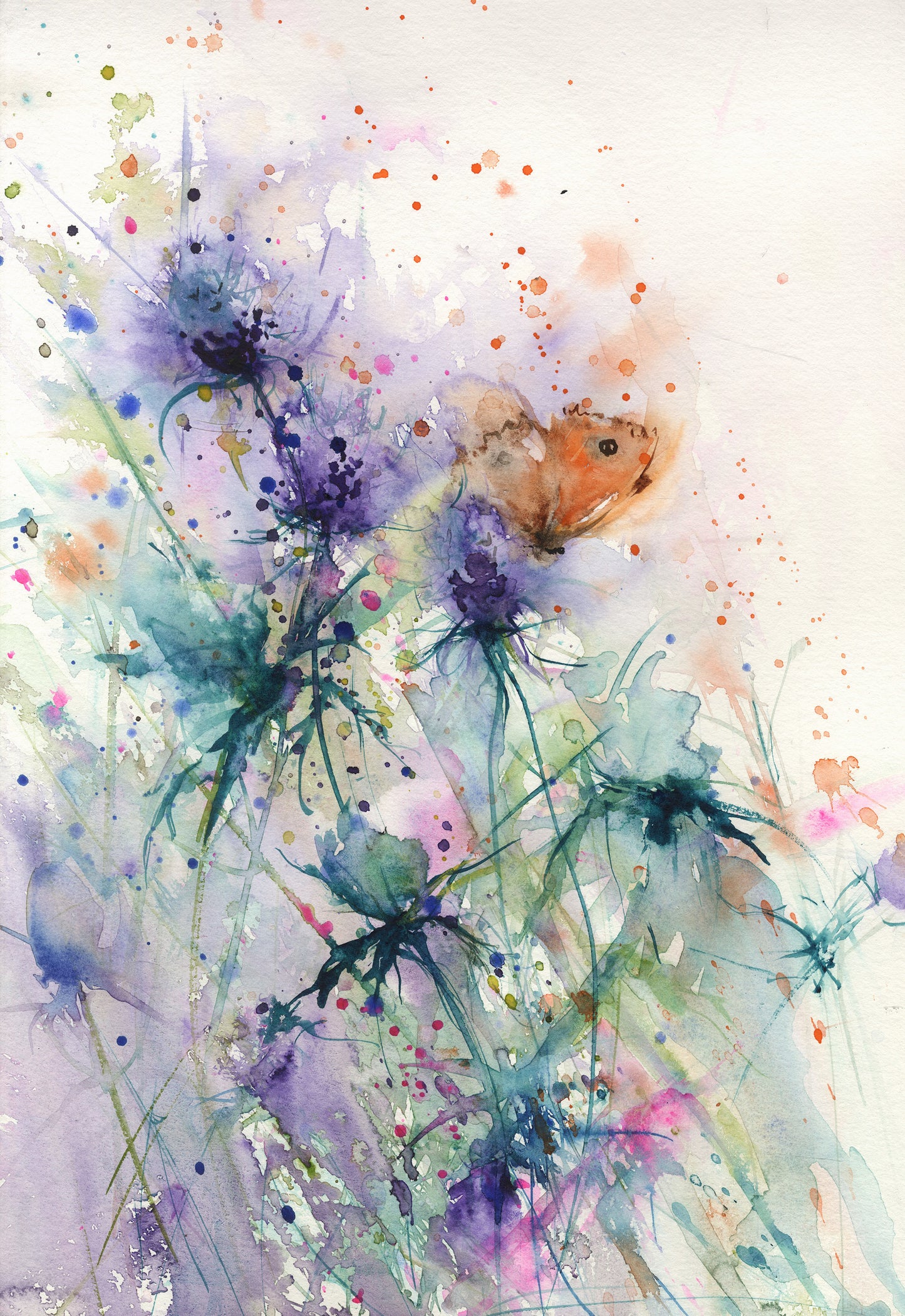 Contemporary floral art  print from original watercolour butterfly on a sea holly - Jen Buckley Art limited edition animal art prints