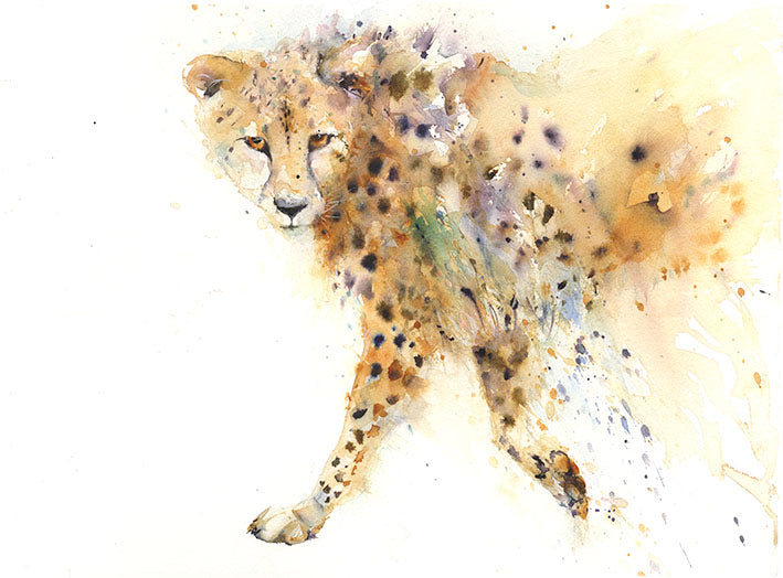 Cheetah limited edition art print by Jen Buckley 