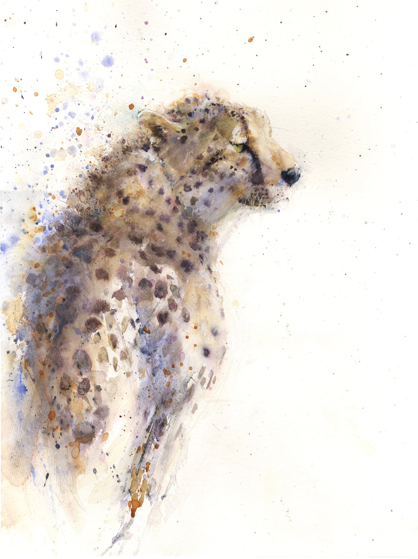 Original cheetah watercolour painting "Matrah" - Jen Buckley Art limited edition animal art prints