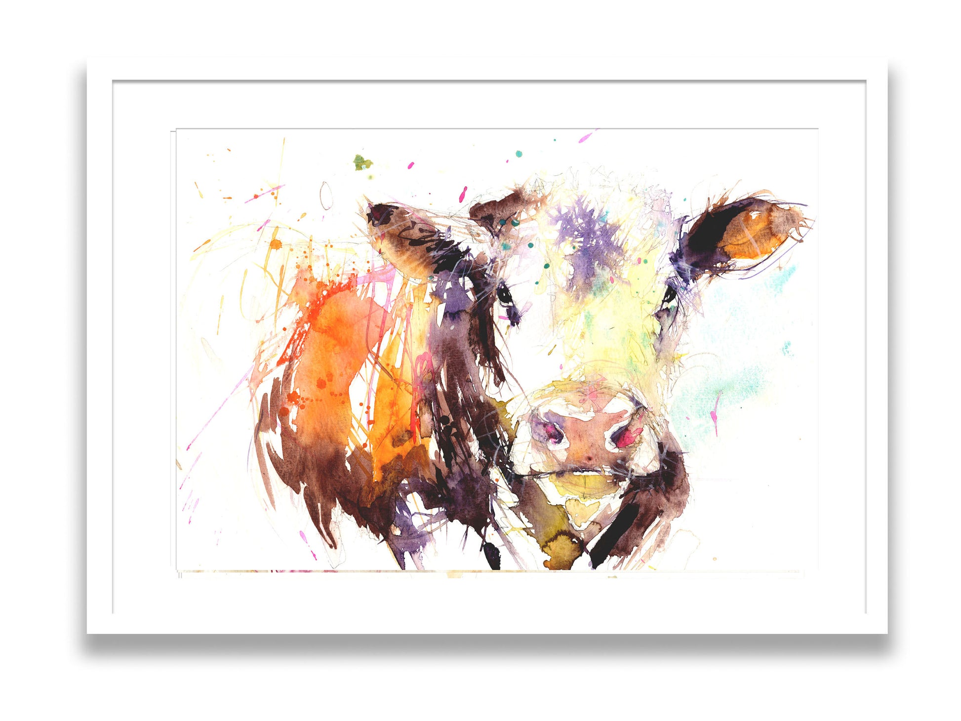 signed limited edition print - Hereford Cow - Jen Buckley Art limited edition animal art prints