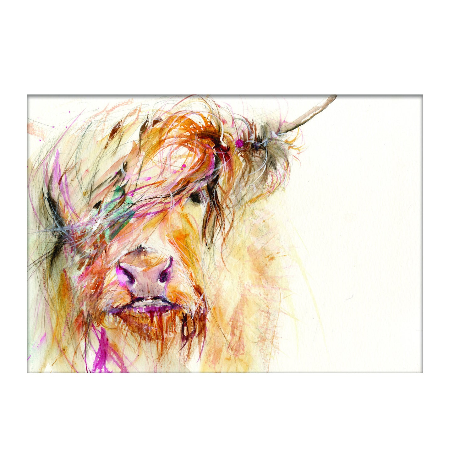LIMITED EDITON PRINT Highland Cow - Jen Buckley Art limited edition animal art prints