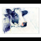 Limited edition cow print by Jen Buckley
