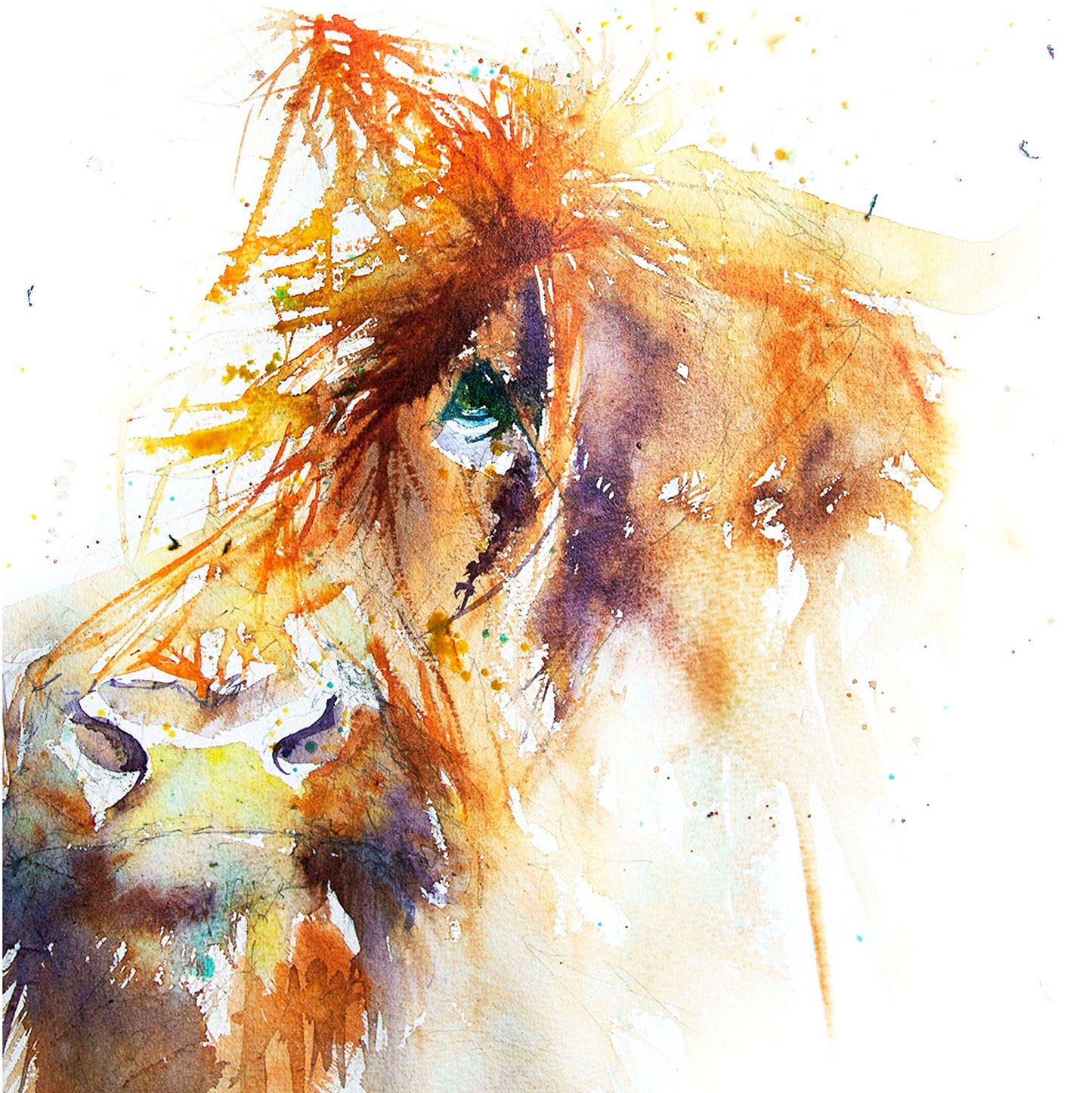 JEN BUCKLEY ART  signed PRINT of my original HIGHLAND COW  watercolour - Jen Buckley Art limited edition animal art prints