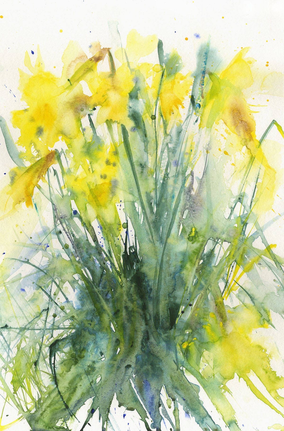 Contemporary floral art  print from original watercolour "daffodils" - Jen Buckley Art limited edition animal art prints