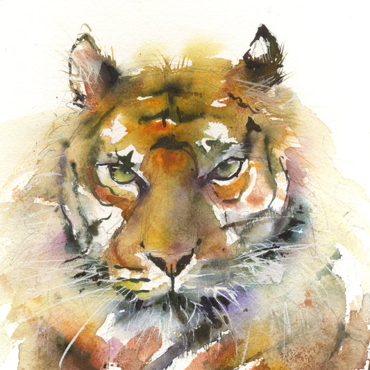 "Dash" Sumatran tiger limited edition art print