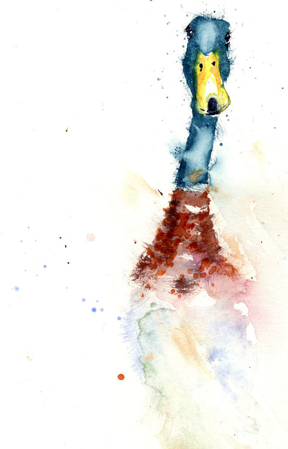 limited edition print  Indian runner DUCK - Jen Buckley Art limited edition animal art prints