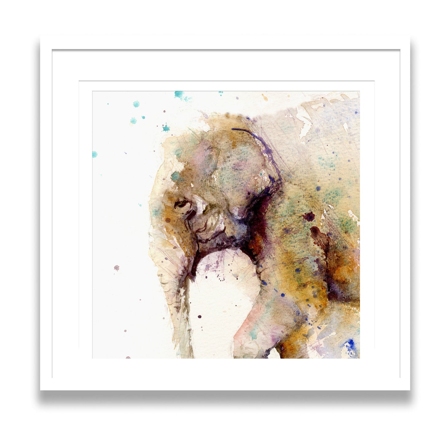Asian elephant  limited edition art print - Jen Buckley Art limited edition animal art prints