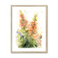 Peach foxgloves Framed & Mounted Print - Jen Buckley Art limited edition animal art prints