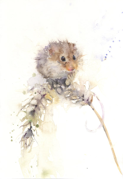 Alice Harvest Mouse On A Ear Of Corn Limited Edition Art Print Limited Prints