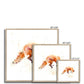 Leaping fox Framed & Mounted Print - Jen Buckley Art limited edition animal art prints
