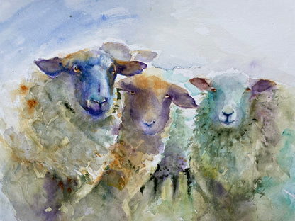 Original watercolour painting "Four ewes"