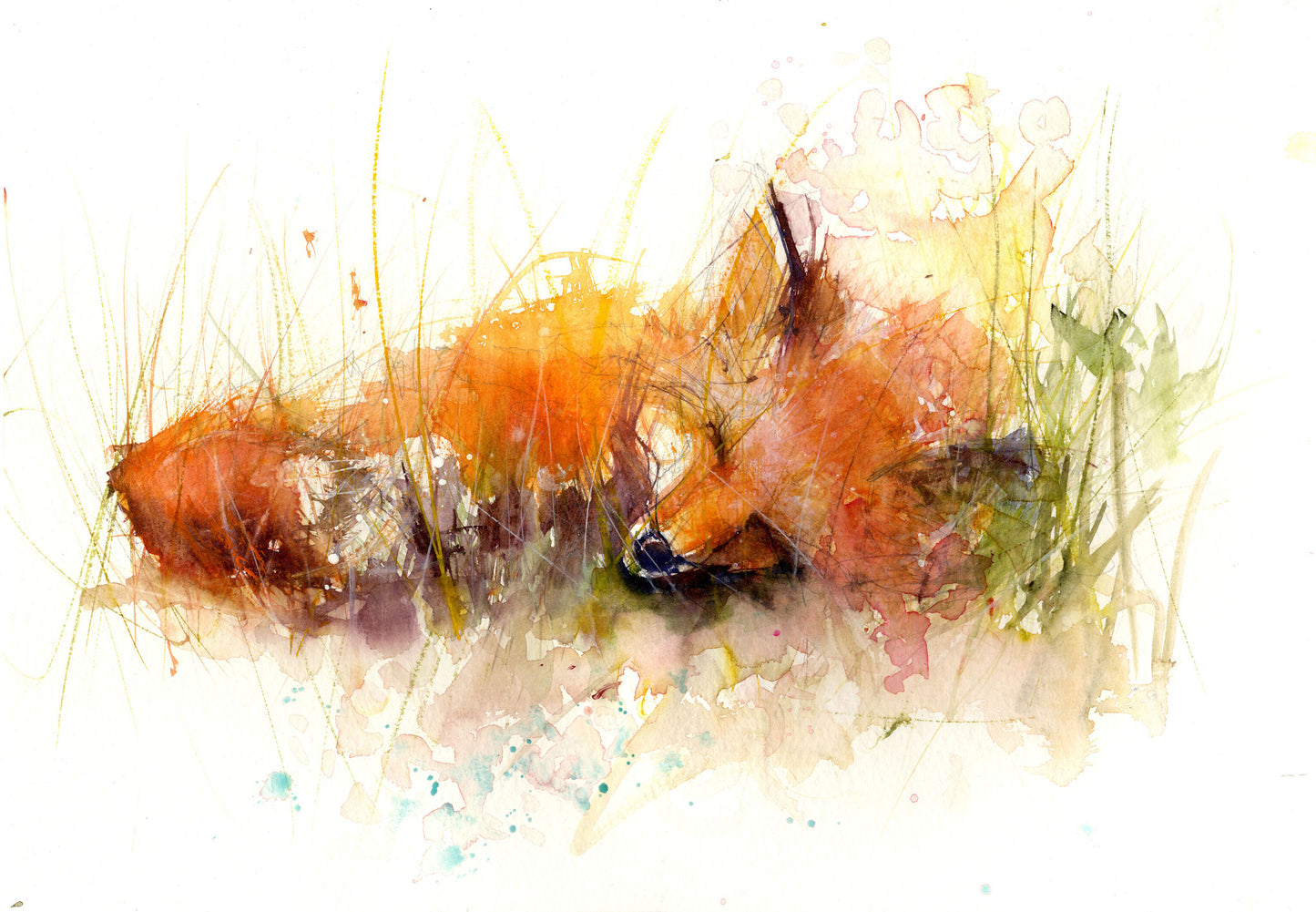 LIMITED EDITON PRINT 'Sleeping Fox' - Jen Buckley Art limited edition animal art prints
