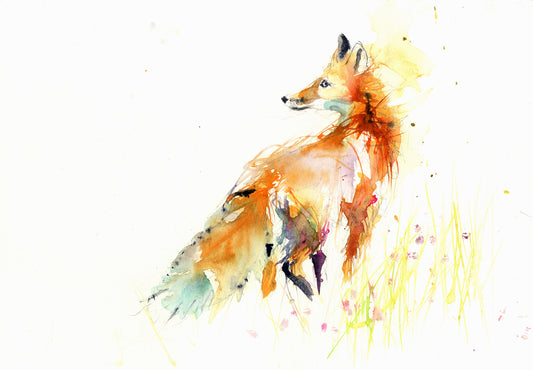 JEN BUCKLEY signed LIMITED EDITON PRINT 'Red Fox' - Jen Buckley Art
