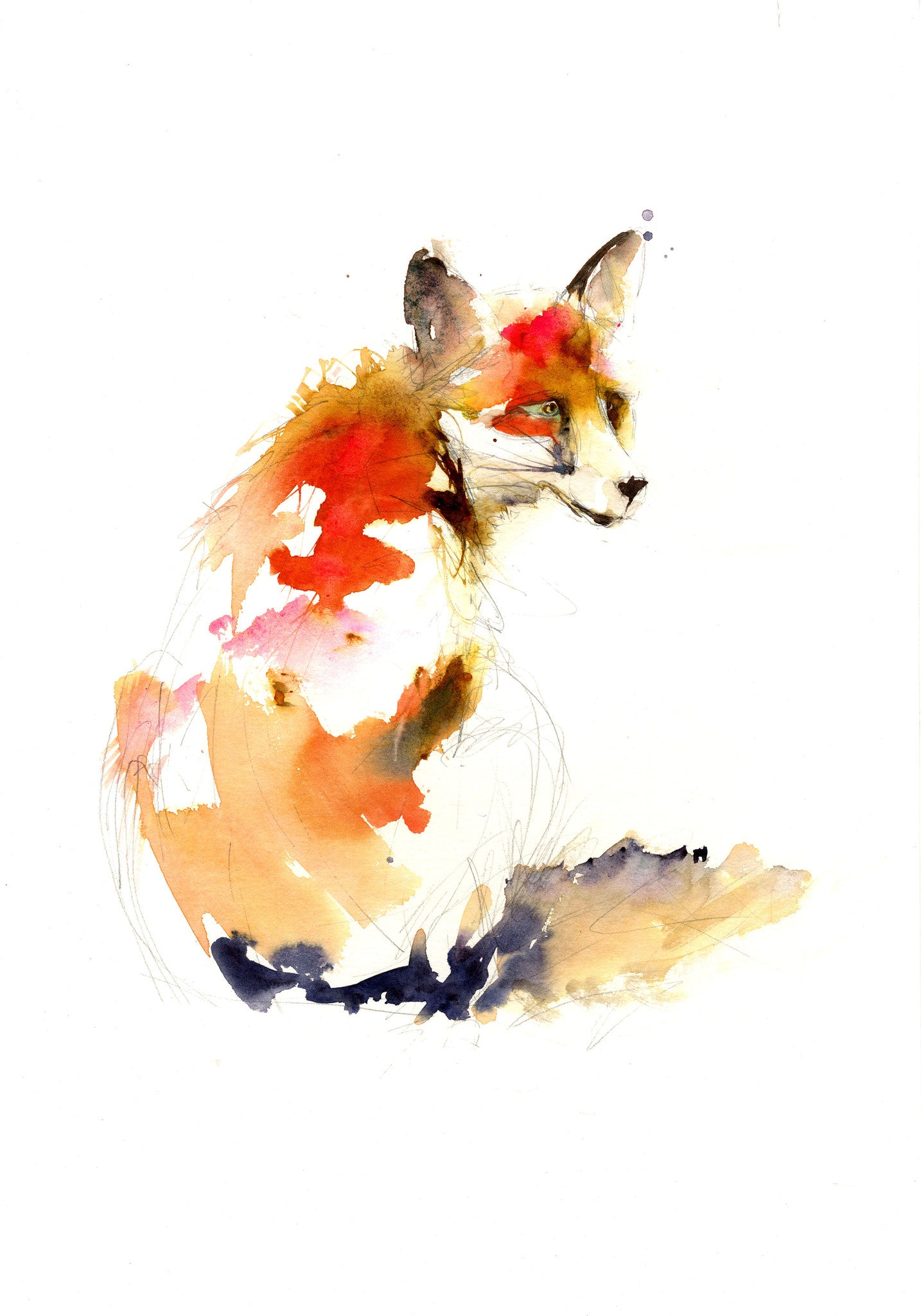 LIMITED EDITON PRINT 'sitting red fox' - Jen Buckley Art limited edition animal art prints