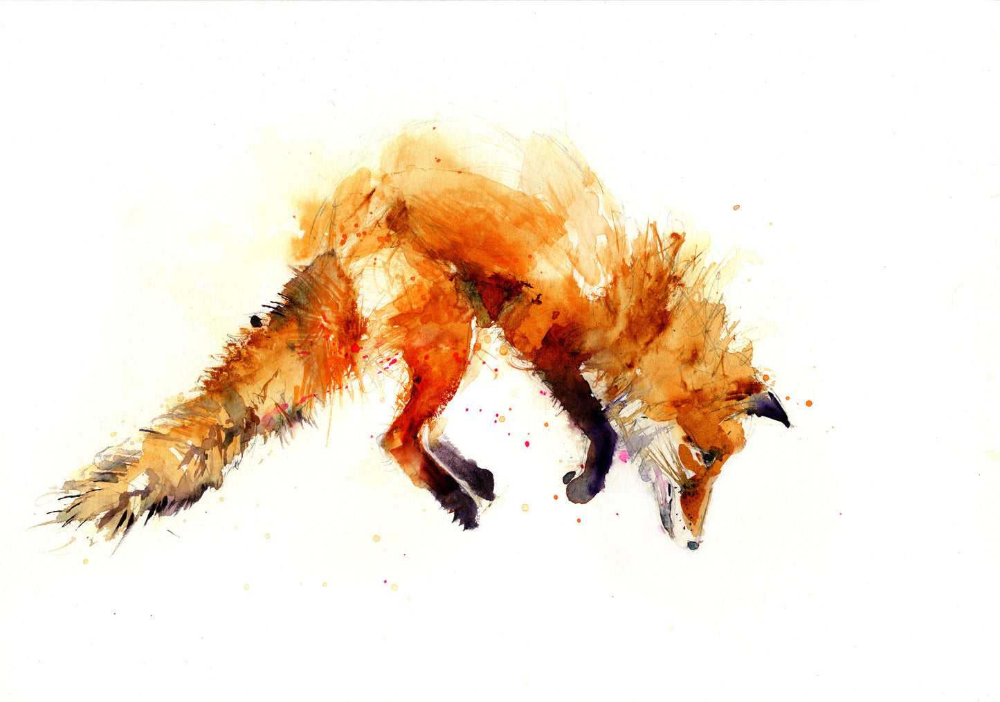 leaping fox art print by jen buckley