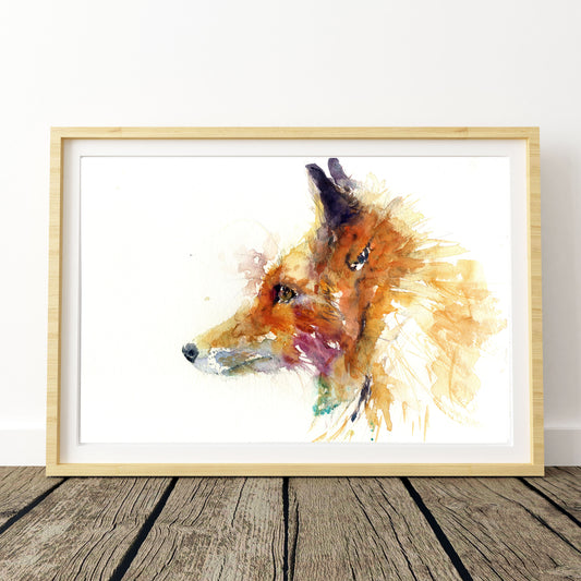 Red fox limited edition art print ciglee by Jen Buckley
