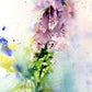 Summer foxgloves floral watercolour art limited edition print - Jen Buckley Art limited edition animal art prints