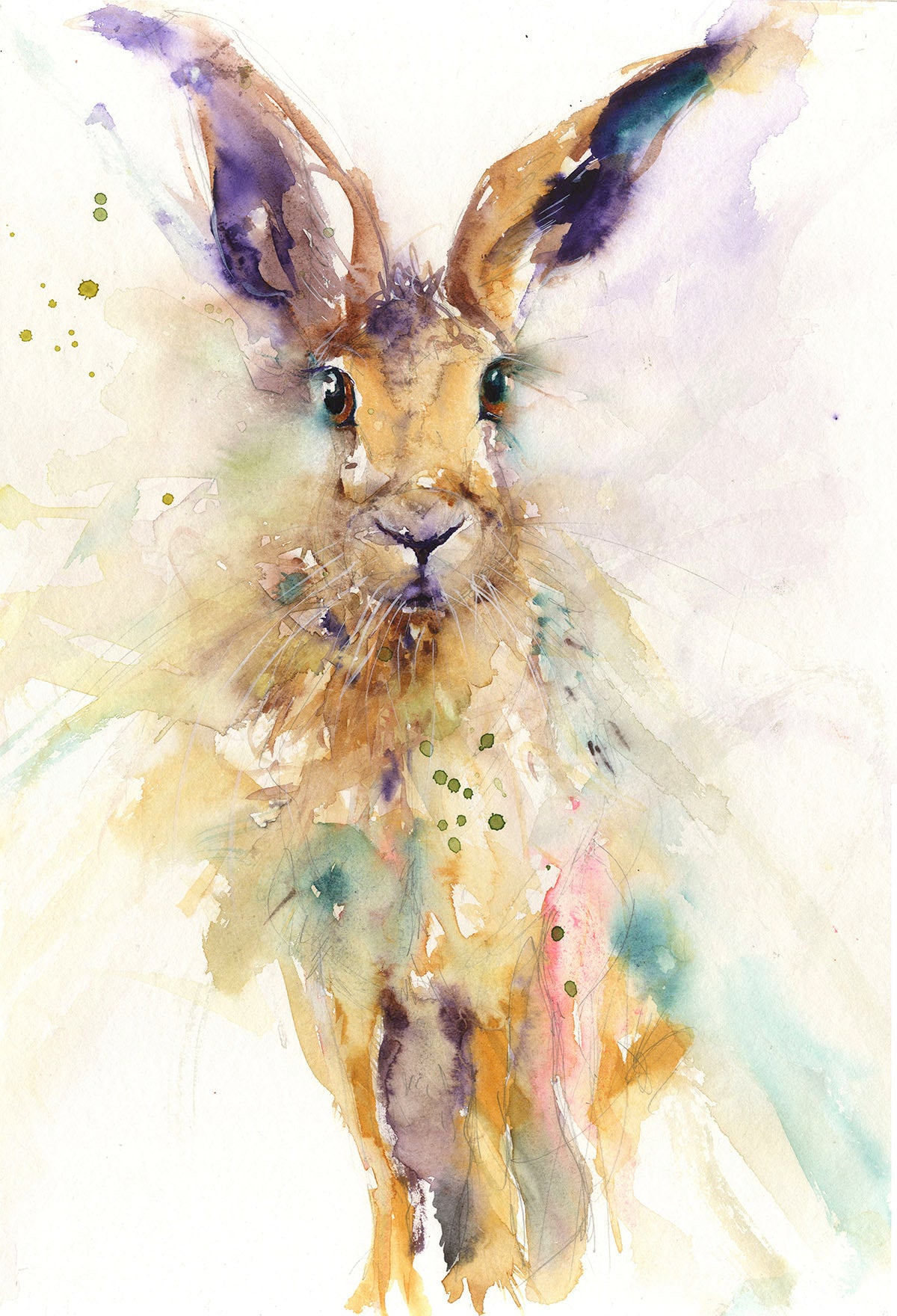 Original hare watercolour painting "Freddie" - Jen Buckley Art limited edition animal art prints