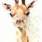 Cute baby giraffe limited edition art print - Jen Buckley Art limited edition animal art prints