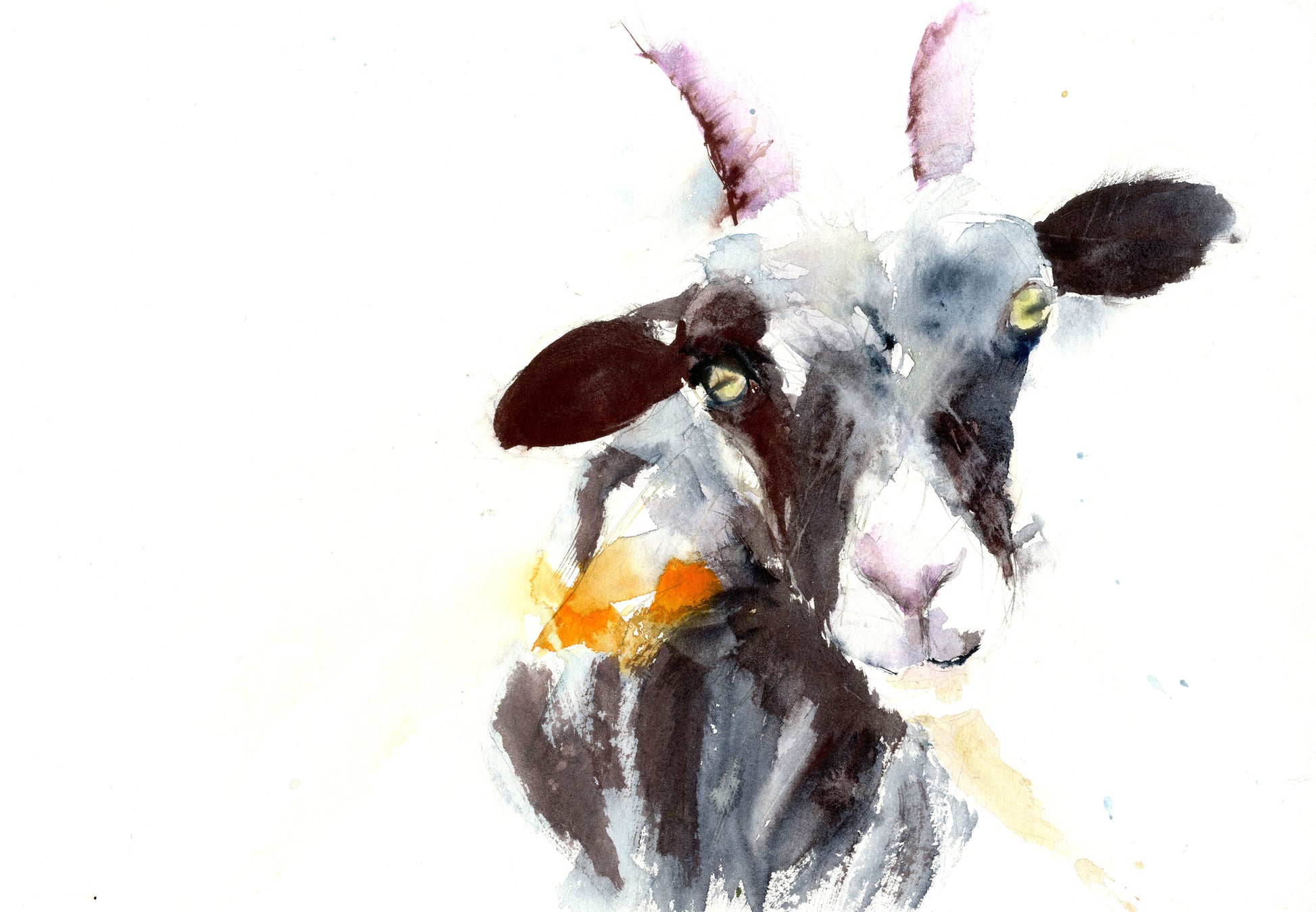 Jen buckley goat print