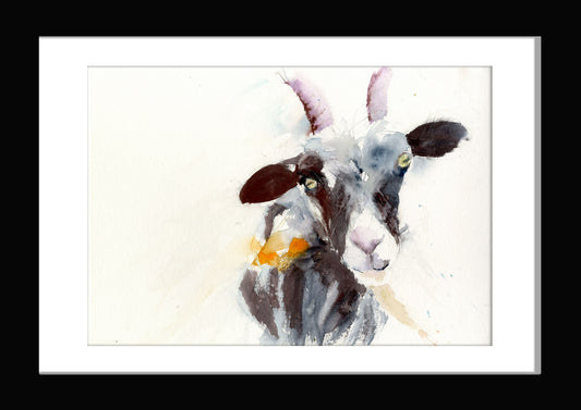 Jen buckley goat print
