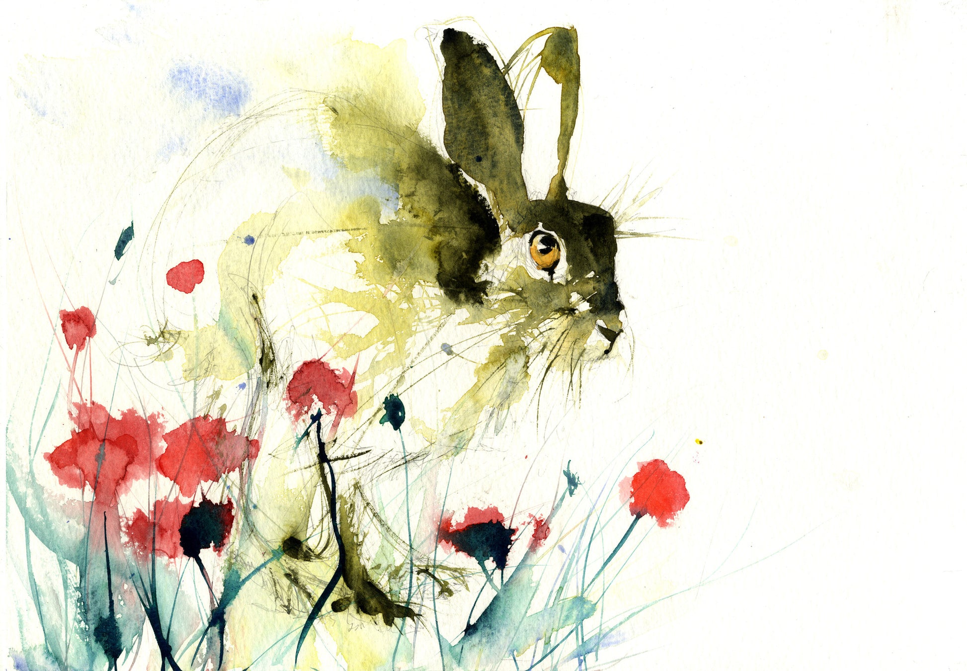 limited edition PRINT of my original HARE in a poppy field watercolour - Jen Buckley Art
 - 1