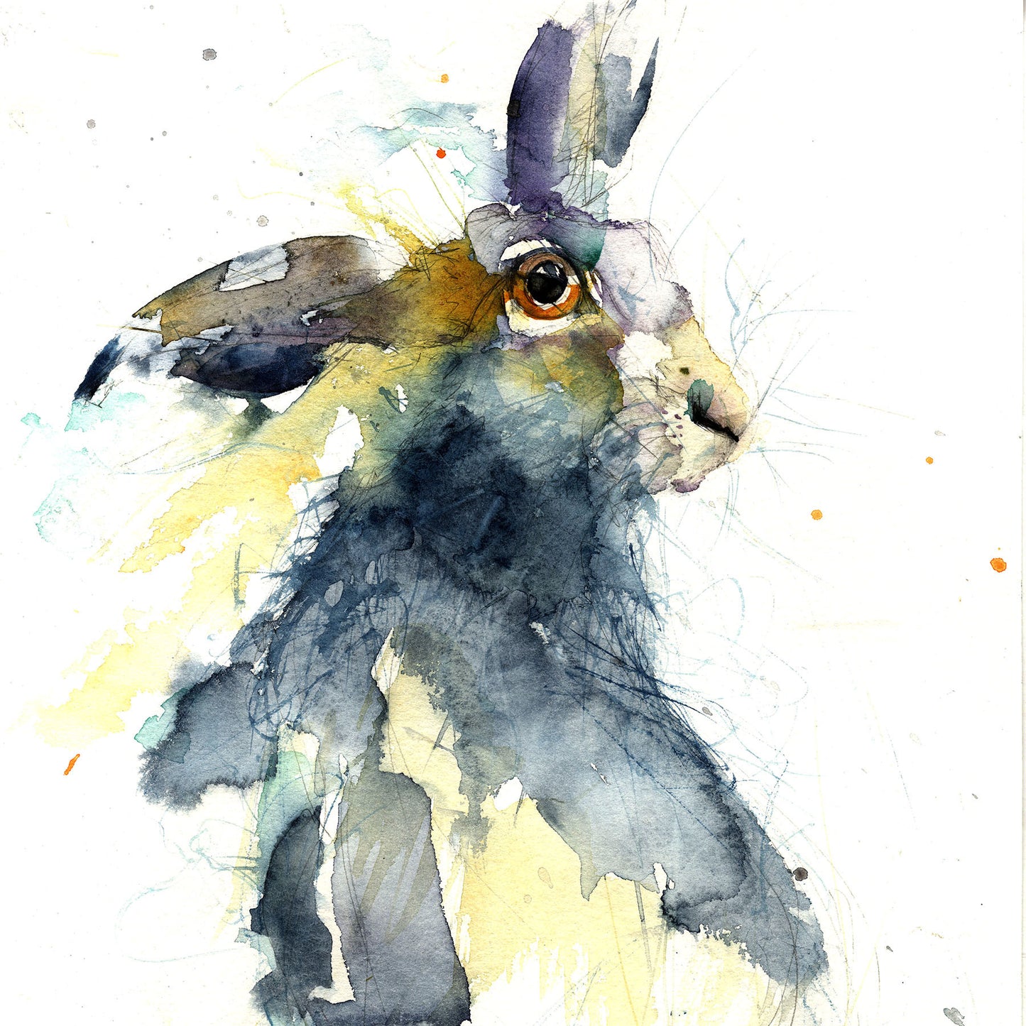 hare watercolour print by jen buckley