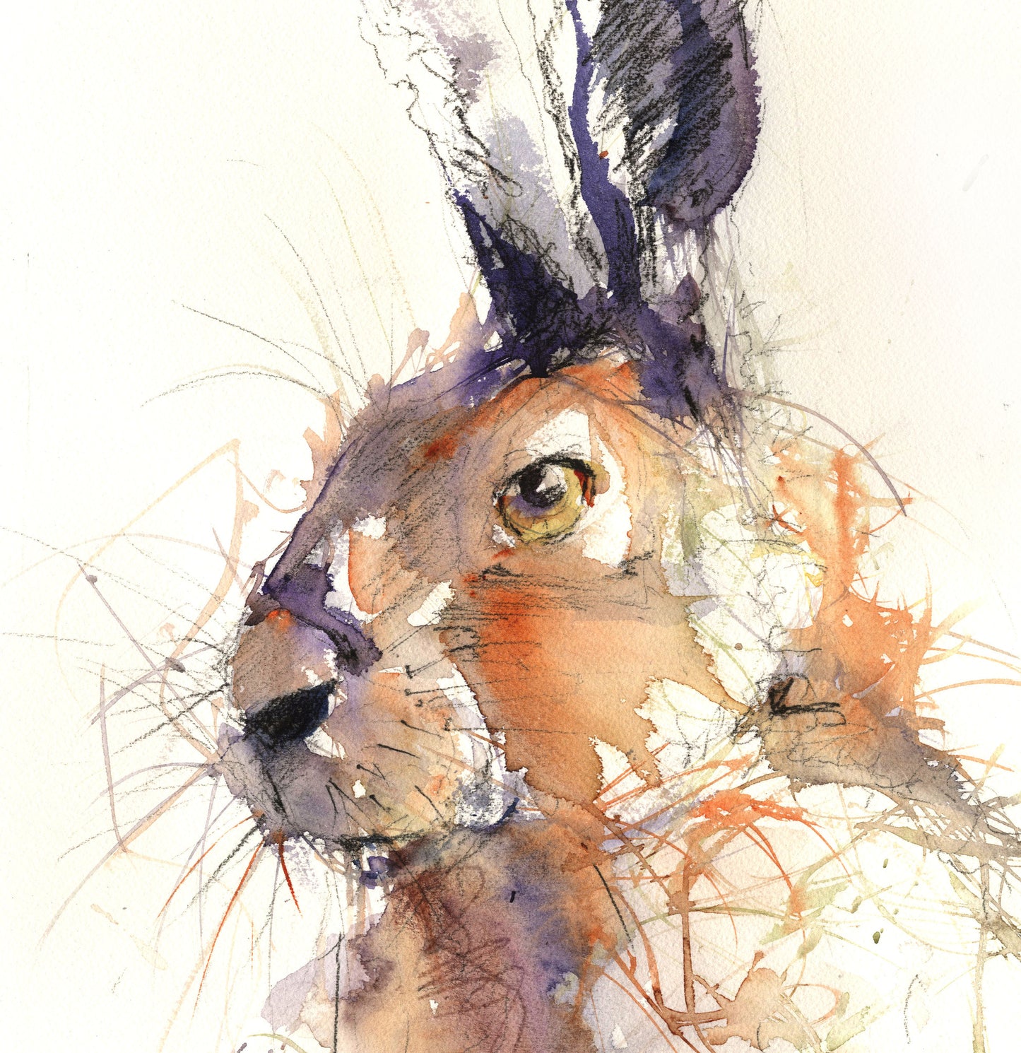 limited edition hare print - Jen Buckley Art limited edition animal art prints
