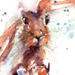 Limited edition hare print "lola" - Jen Buckley Art limited edition animal art prints