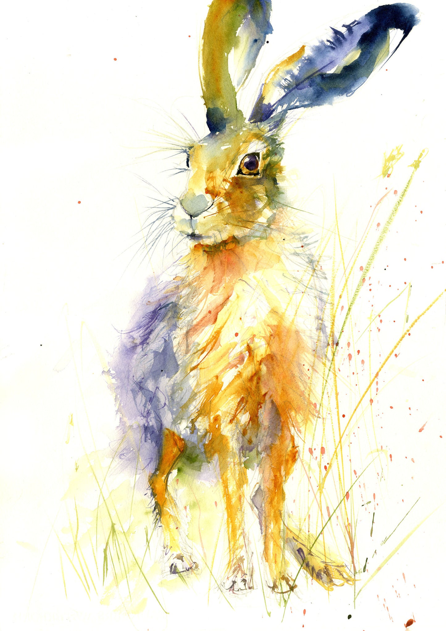 imited edition hare print - Jen Buckley Art limited edition animal art prints