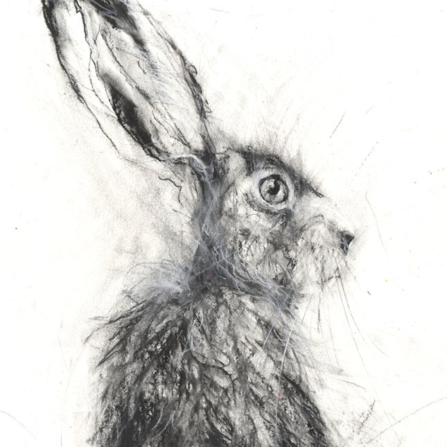 Limited edition hare print "Edward" - Jen Buckley Art limited edition animal art prints