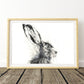 Hare charcoal drawing by Jen Buckley