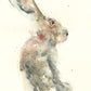Original sitting hare watercolour painting "George" - Jen Buckley Art limited edition animal art prints