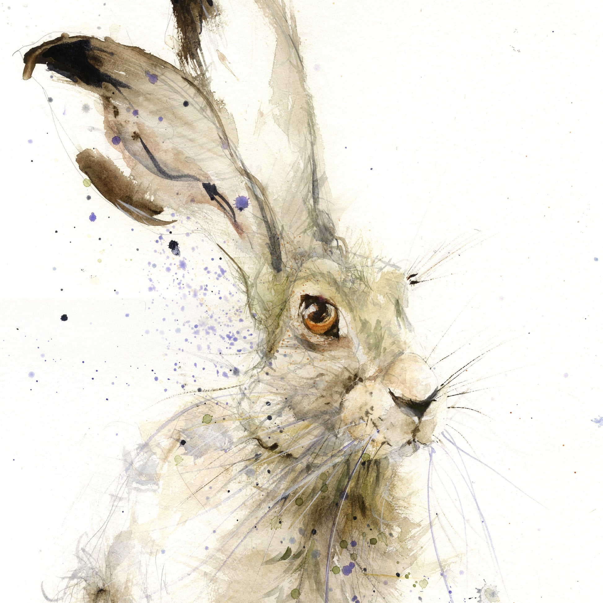 Original sitting hare watercolour painting "Harry" - Jen Buckley Art limited edition animal art prints