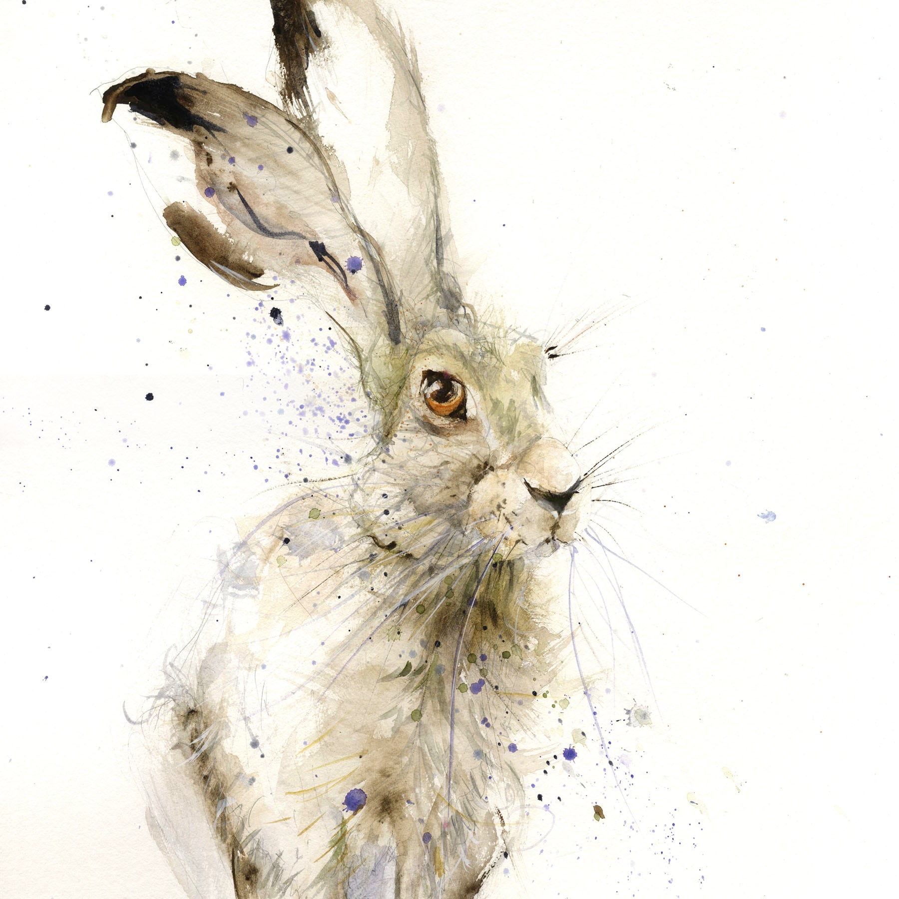 Original sitting hare watercolour painting "Harry" - Jen Buckley Art limited edition animal art prints