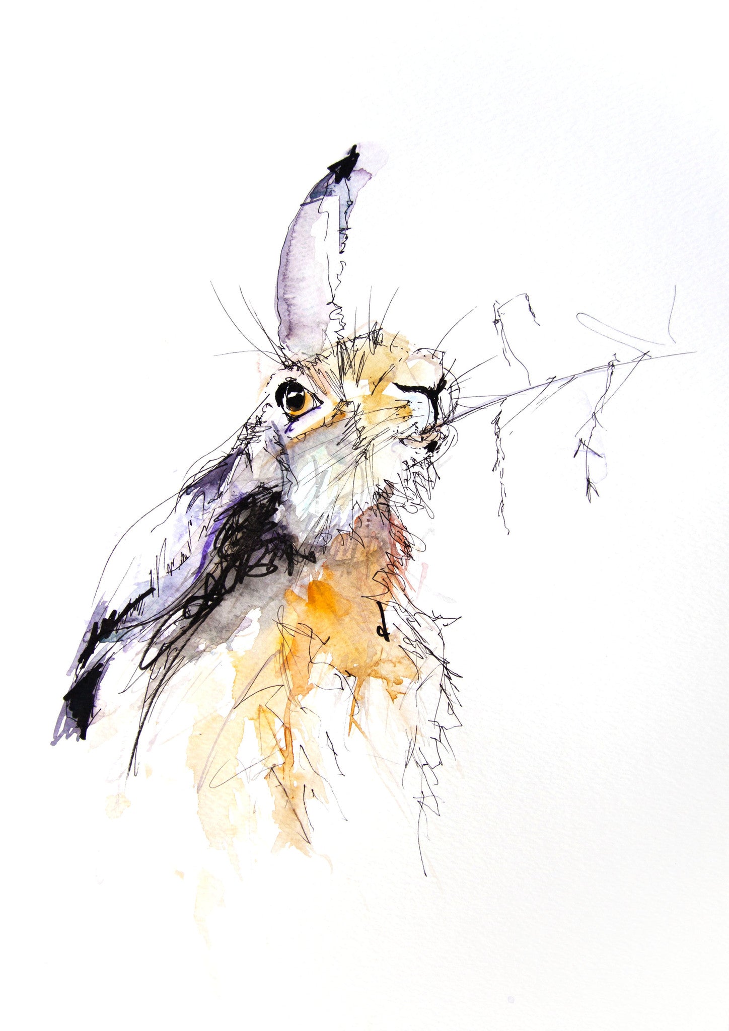 JEN BUCKLEY signed LIMITED EDITION PRINT of my original HARE watercolour  - Jen Buckley Art limited edition animal art prints