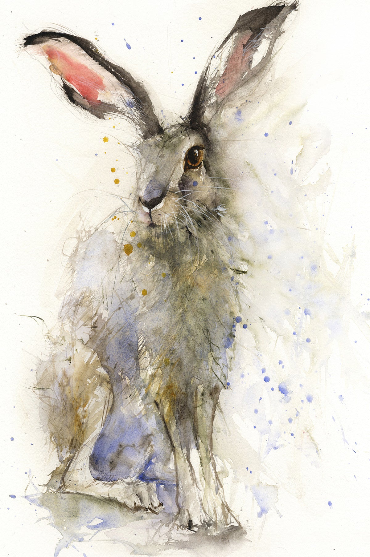 Jack limited edition hare print - Jen Buckley Art limited edition animal art prints